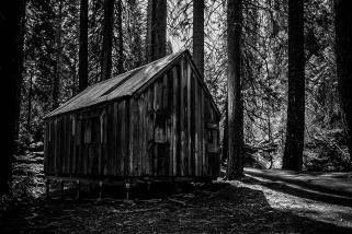 69363075_10218516545478780_635494347642503168_n