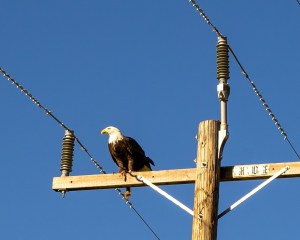 80805639_10219522874916387_7968610818935750656_o